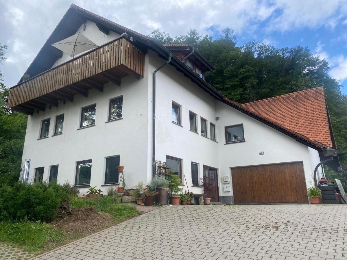 Апартаменти Haus Dreil Ober-Abtsteinach Екстер'єр фото